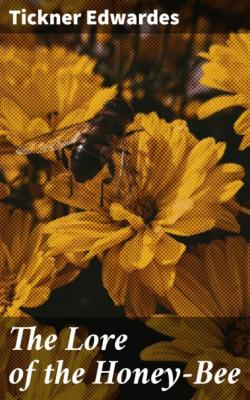 The Lore of the Honey-Bee - Edwardes Tickner 