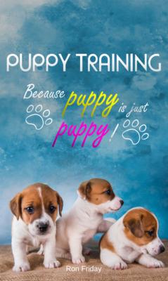 Puppy training because puppy is just puppy! - Ron Friday 