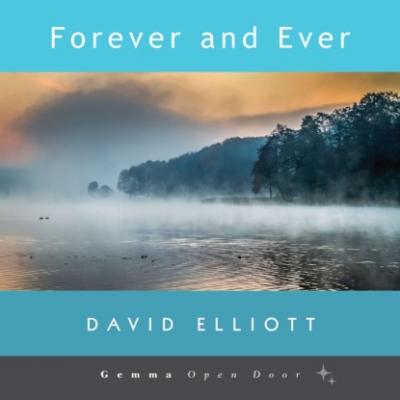 Forever and Ever (Unabridged) - David  Elliott 