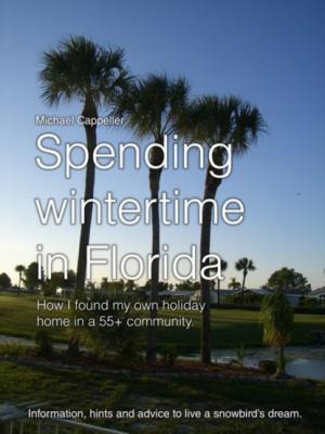 Spending wintertime in Florida - Michael Cappeller 
