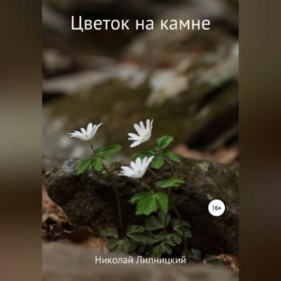 Цветок на камне - Николай Иванович Липницкий 