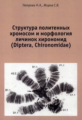 Структура политенных хромосом и морфология личинок хирономид (Diptera, Chironomidae). Атлас - Н. А. Петрова 