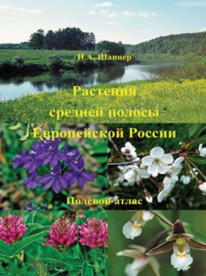 Растения средней полосы Европейской России. Полевой атлас - И. А. Шанцер 