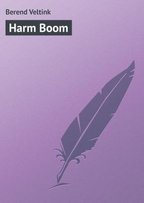 Harm Boom - Berend Veltink 