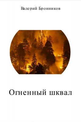 Огненный шквал - Валерий Викторович Бронников 