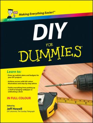 DIY For Dummies - Jeff  Howell 