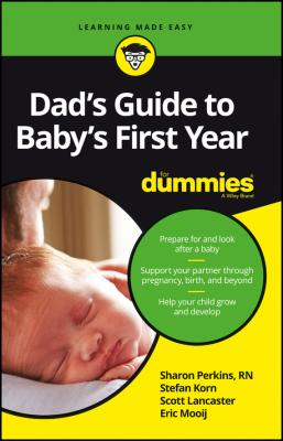 Dad's Guide to Baby's First Year For Dummies - Sharon  Perkins 