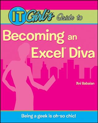 The IT Girl's Guide to Becoming an Excel Diva - Ani  Babaian 
