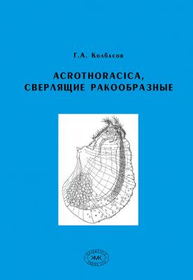 Acrothoracica, сверлящие ракообразные - Г. А. Колбасов 