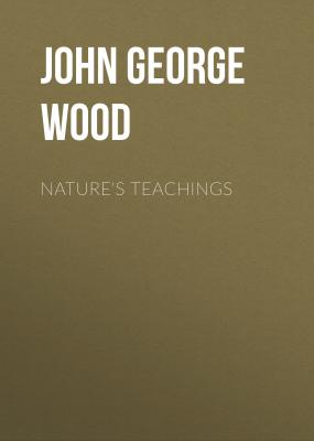Nature's Teachings - John George Wood 