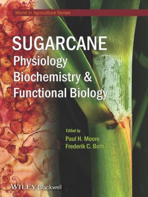 Sugarcane. Physiology, Biochemistry and Functional Biology - Paul Moore H. 
