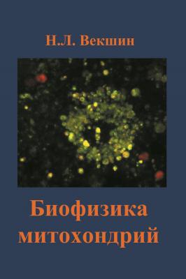 Биофизика митохондрий - Н. Л. Векшин 