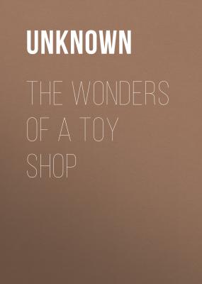 The Wonders of a Toy Shop - Unknown 