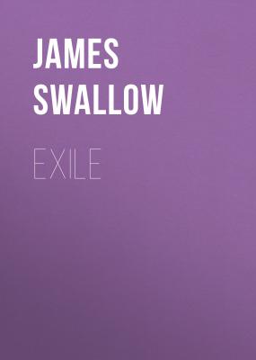 Exile - James  Swallow The Marc Dane series