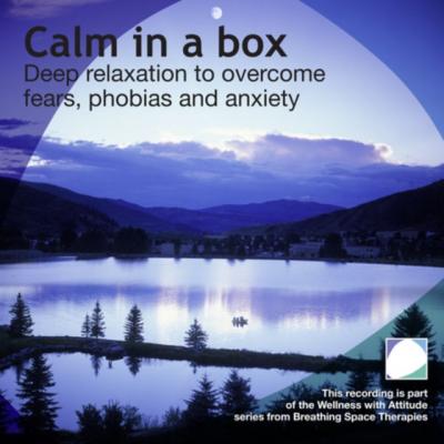 Calm In A Box - Annie Lawler 