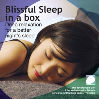 Blissful Sleep In A Box - Annie Lawler 