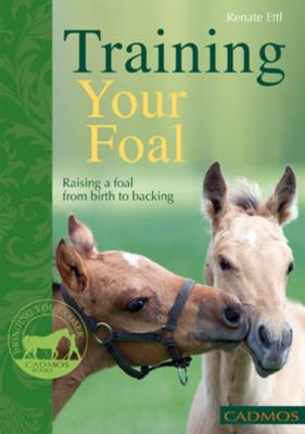 Training Your Foal - Renate  Ettl Horses