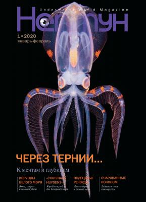 Нептун №1/2020 - Отсутствует Журнал «Нептун» 2020