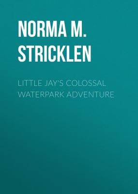 Little Jay's Colossal Waterpark Adventure - Norma M. Stricklen Little Jay’s Adventure Series