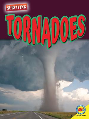 Tornadoes - Marne Ventura 
