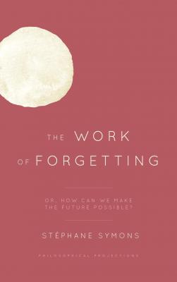 The Work of Forgetting - Stephane Symons 