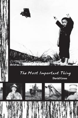 The Most Important Thing - David Gross 