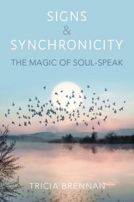 Signs & Synchronicity - Tricia Brennan 