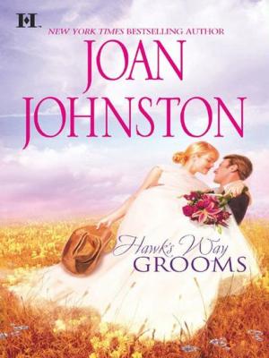 Hawk's Way Grooms: Hawk's Way: The Virgin Groom - Joan  Johnston 