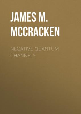 Negative Quantum Channels - James M. McCracken Synthesis Lectures on Quantum Computing