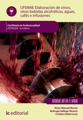 Elaboración de vinos, otras bebidas alcohólicas, aguas, cafés e infusiones. HOTR0209 - Víctor Manuel Martín Buitrago Gallego-Nicasio 