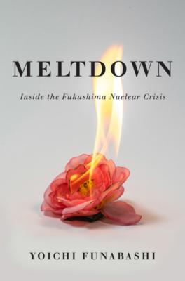 Meltdown - Yoichi Funabashi 