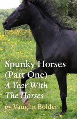 Spunky Horses (Part One) - A Year With The Horses - Vaughn Bolder 