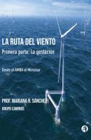 La ruta del viento - Mariana R. Sánchez 