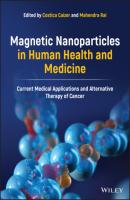 Magnetic Nanoparticles in Human Health and Medicine - Группа авторов 