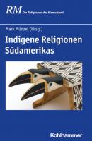 Indigene Religionen Südamerikas - Группа авторов 