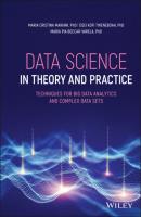Data Science in Theory and Practice - Maria Cristina Mariani 