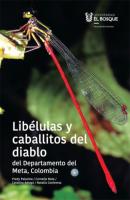 Libélulas y caballitos del diablo del departamento del Meta, Colombia - Fredy Palacino Rodríguez  CIENCIAS