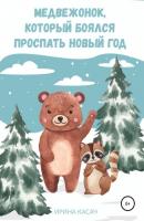 Медвежонок, который боялся проспать Новый год - Ирина Касач 