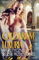 Caldarium Luxuria – w erotycznej służbie przełożonej - Black Chanterelle 