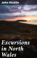 Excursions in North Wales - John Hicklin 