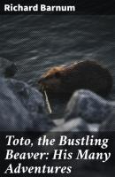 Toto, the Bustling Beaver: His Many Adventures - Richard Barnum 