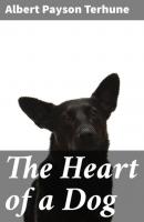 The Heart of a Dog - Albert Payson Terhune 