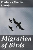 Migration of Birds - Frederick Charles Lincoln 
