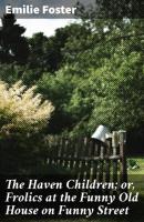 The Haven Children; or, Frolics at the Funny Old House on Funny Street - Emilie Foster 