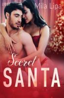 Secret Santa – opowiadanie erotyczne - Mila Lipa 