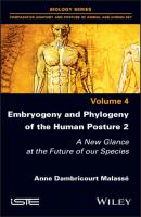 Embryogeny and Phylogeny of the Human Posture 2 - Anne Dambricourt Malasse 