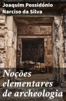 Noções elementares de archeologia - Joaquim Possidonio Narciso da Silva 
