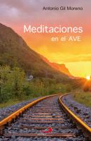 Meditaciones en el AVE - Antonio Gil Moreno 