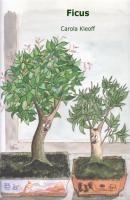 Ficus - Carola Kleoff 