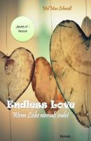 Endless Love - Mel Mae Schmidt 